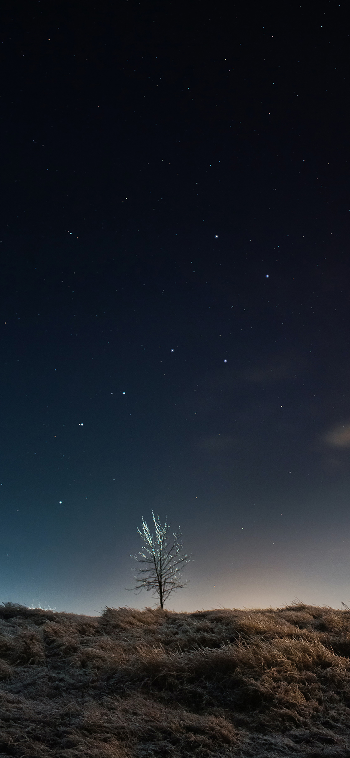 壁纸｜看璀璨的冬季星空，看流星洒落天际