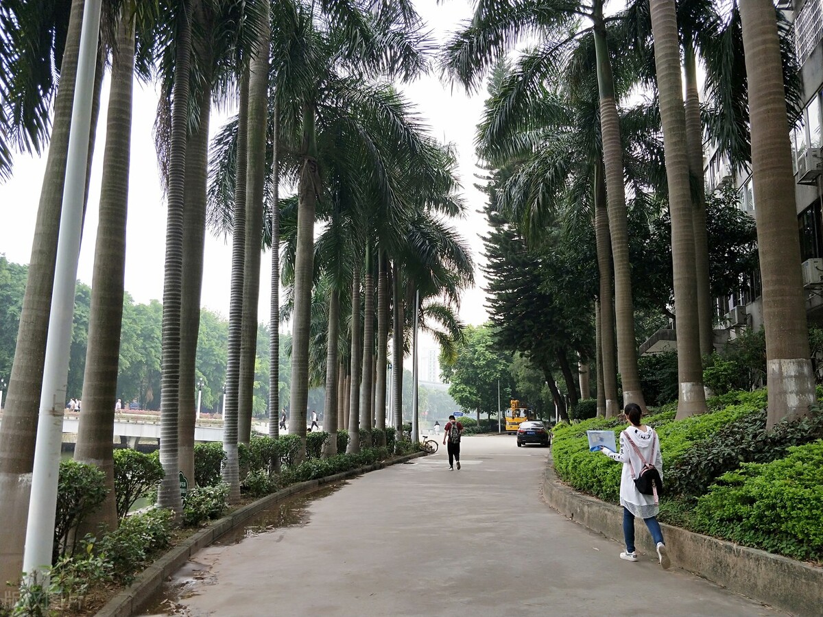 我在华南理工大学等你！2021年设计学录取成绩持续更新了3个省份