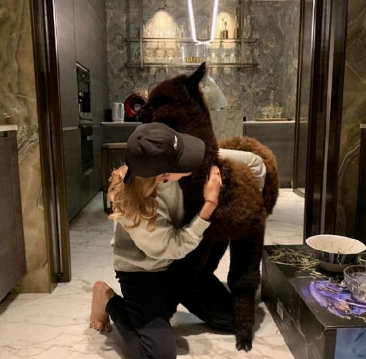 王思聪的风流情史，靠金钱征服了15个女人，如今却沦为了爱情舔狗