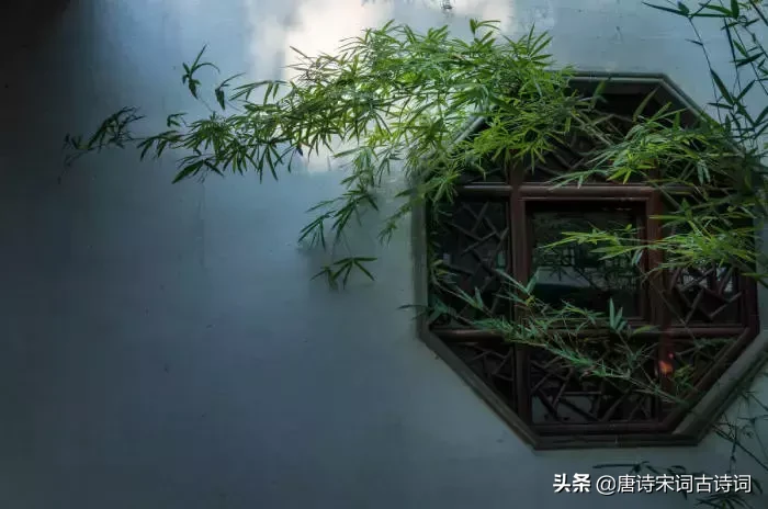 优美古诗词鉴赏20首简短(好诗推荐20首古诗)