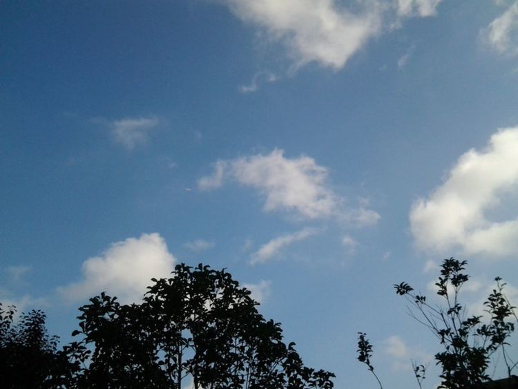 走进上海理工大学