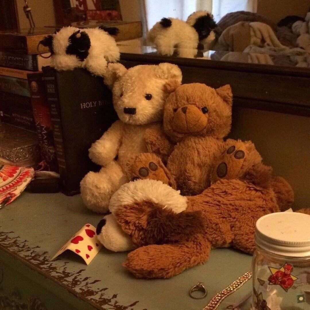 关于双鱼座的句子说说配图「暖心」 _qq说说网