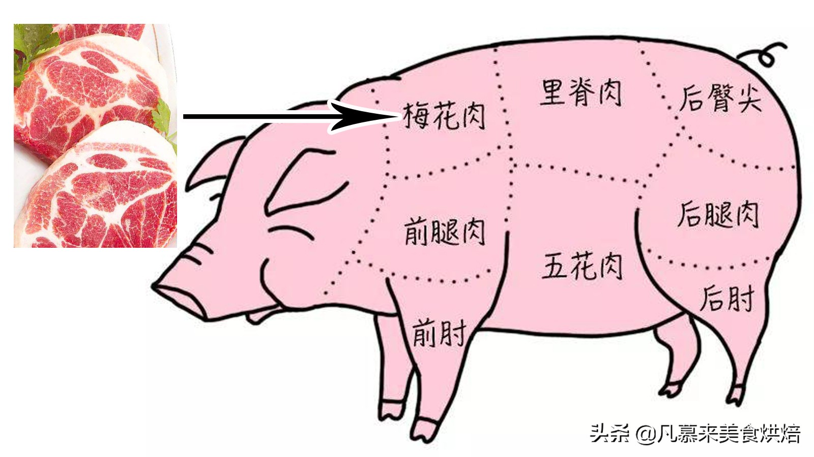 豬肉各部位圖解與介紹,終於會選肉了