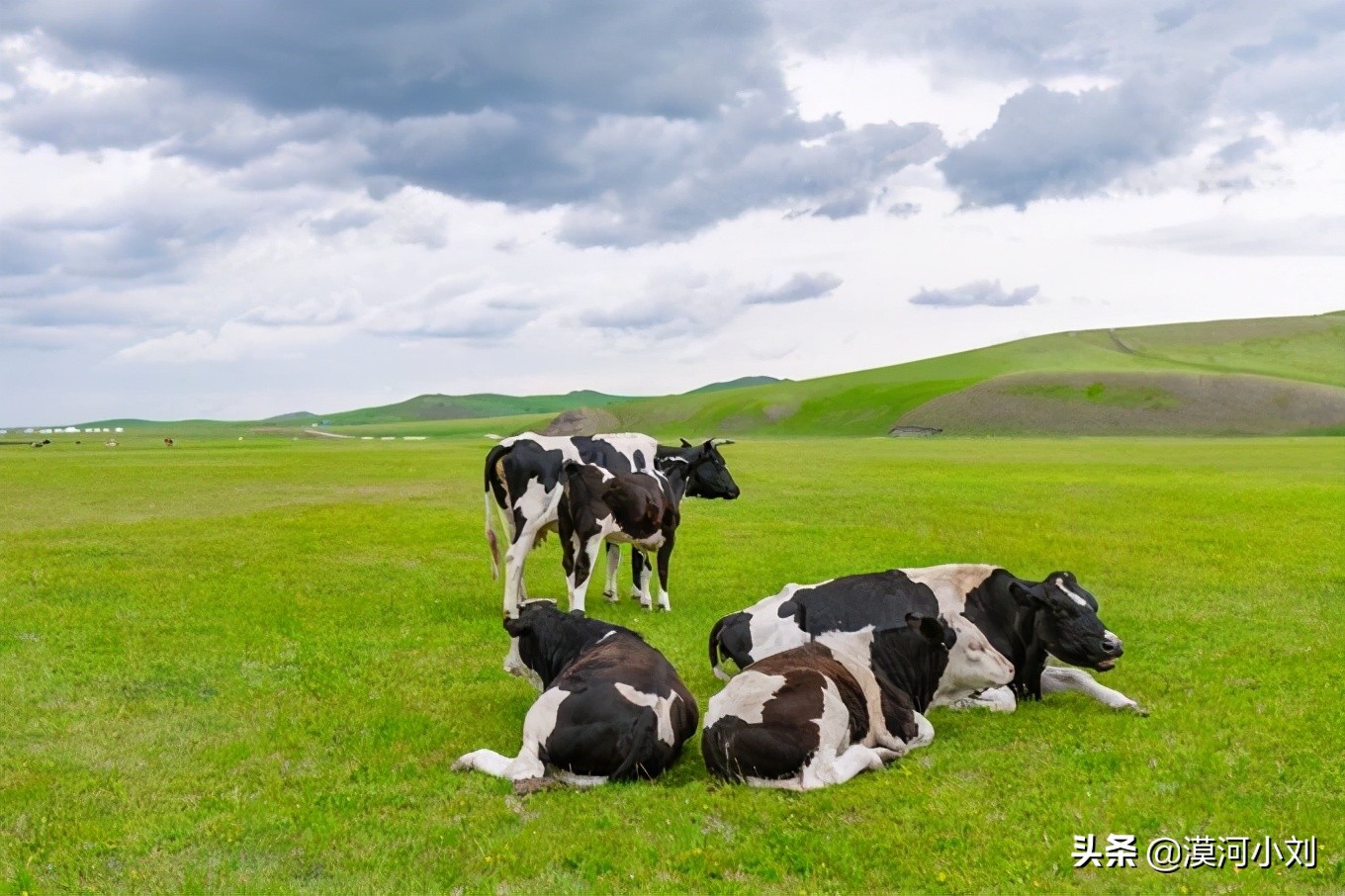 2021之夏｜最新呼伦贝尔旅游全攻略，纯干货7大线路任您选