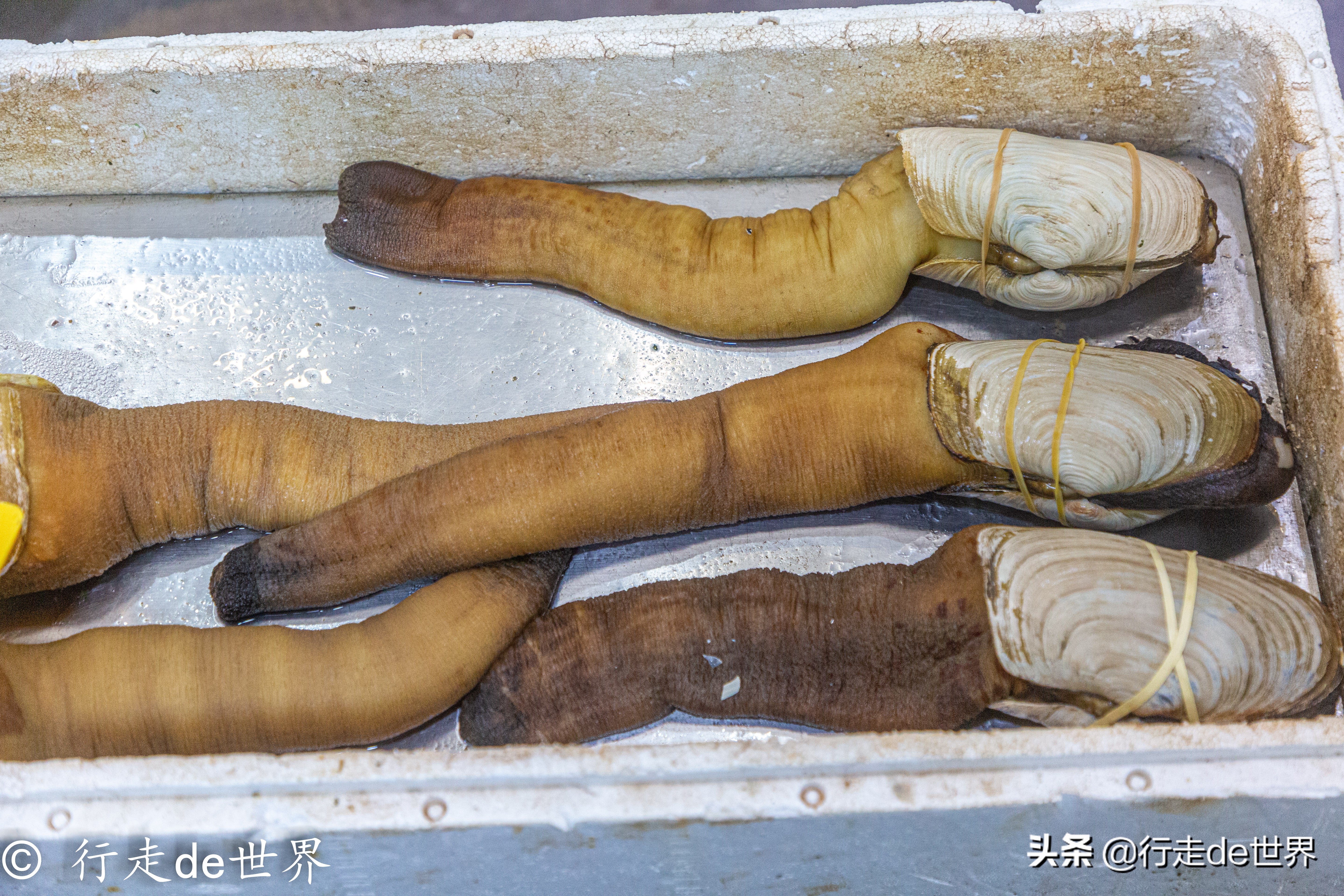 国庆假期相聚顺德，一次性打卡六家餐厅，品味地道顺德味道