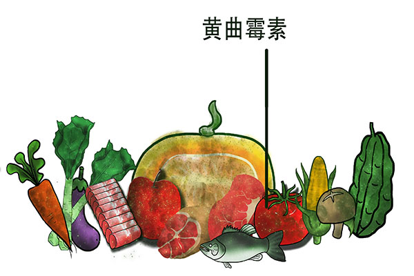 发霉的食物洗一洗,切除坏掉的部分,能继续吃吗?