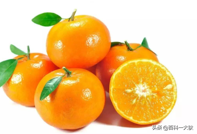 十大最好吃的橘子（柑子）介绍