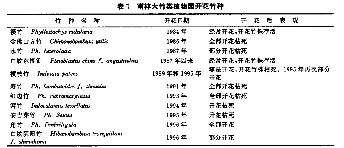 “竹子开花，马上搬家”！为何竹子开花，会被视为不详的征兆？