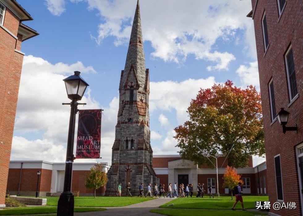 美国最有价值的50所小型大学