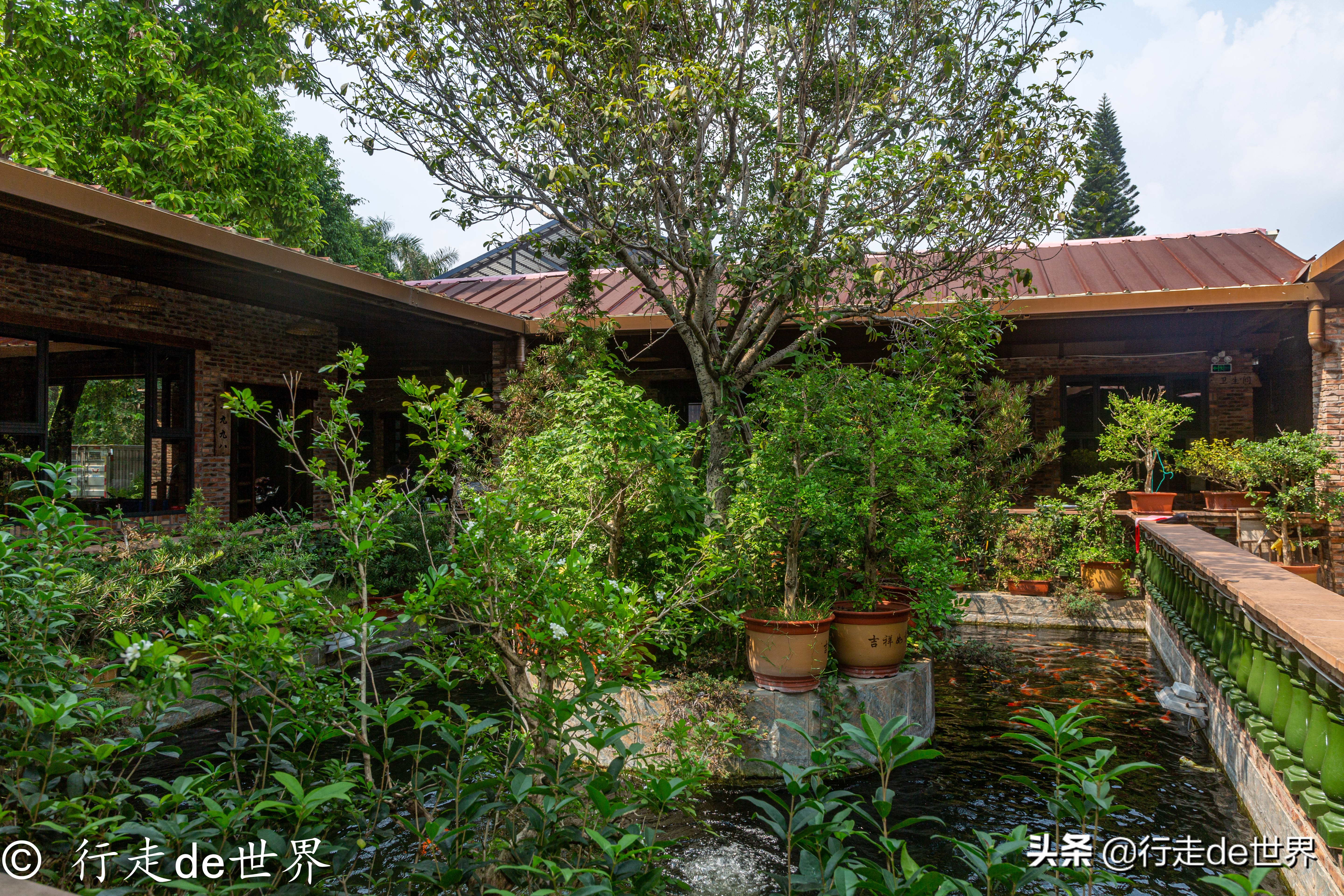 国庆假期相聚顺德，一次性打卡六家餐厅，品味地道顺德味道