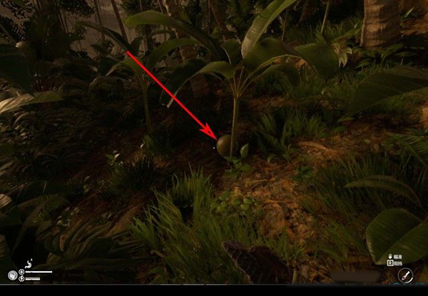 绿色地狱steam中文版