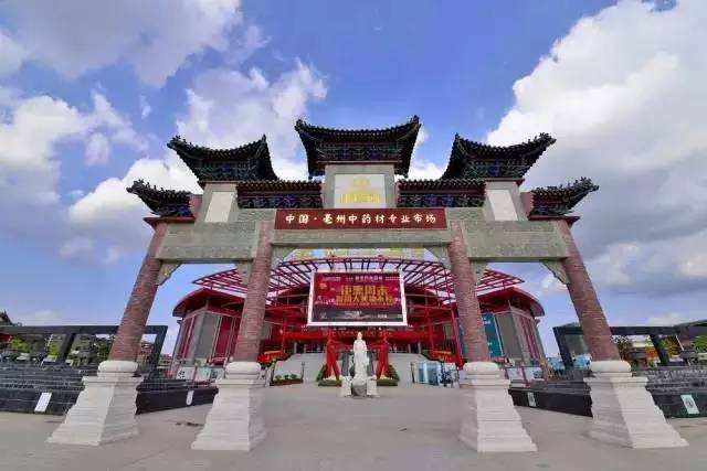 速看！安徽省亳州学院2020年招生简章公布