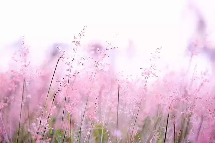 测一测：真神了！从颜色居然能看出一个人的特质