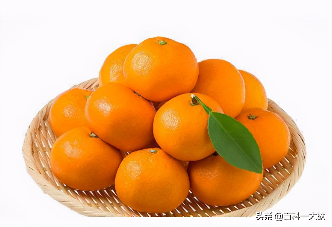 十大最好吃的橘子（柑子）介绍