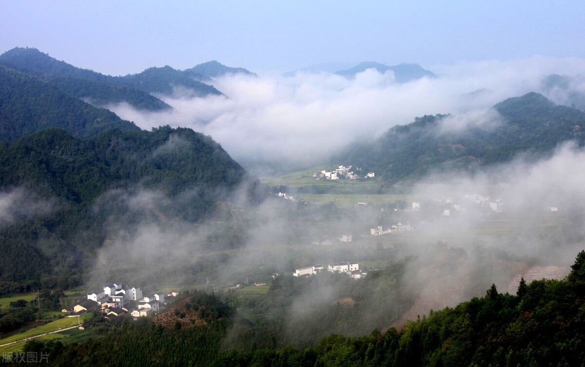 红茶争霸：阿萨姆红茶、锡兰红茶、祁红、滇红等，谁才是盟主？