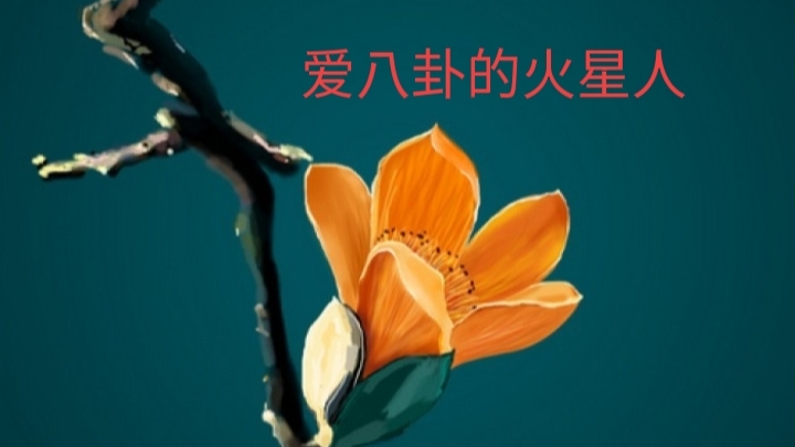 发现老婆出轨，我不声不响，假装不知，让她当我的赚钱工具人