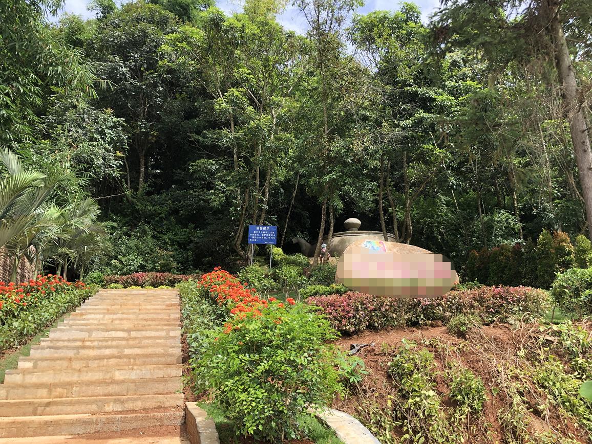 南京女大学生被男友诱杀并埋尸郊野公园，嫌犯戴黑头套在西双版纳现场指认，此前曾与死者父亲一起报案