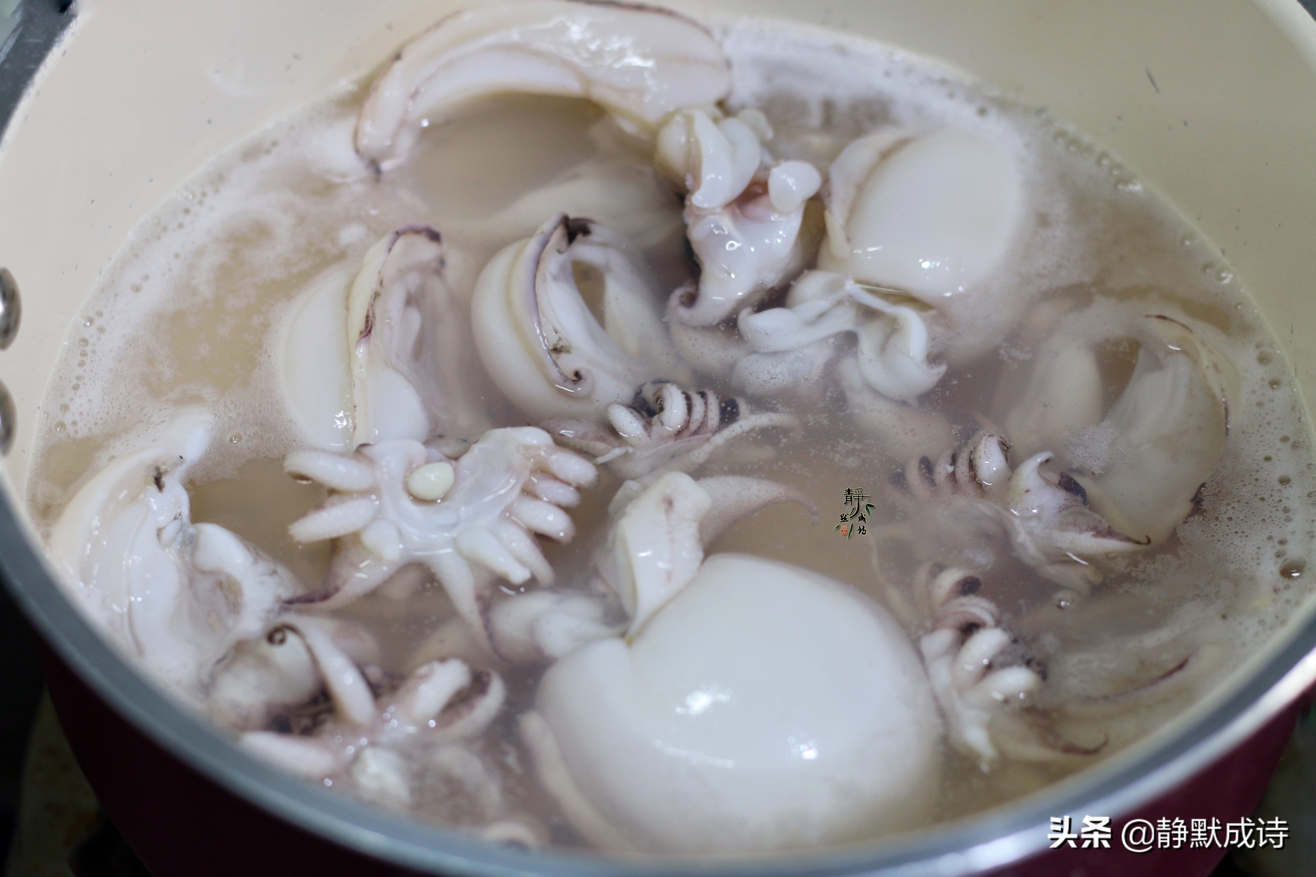 墨斗魚的做法,墨斗魚的做法大全 家常