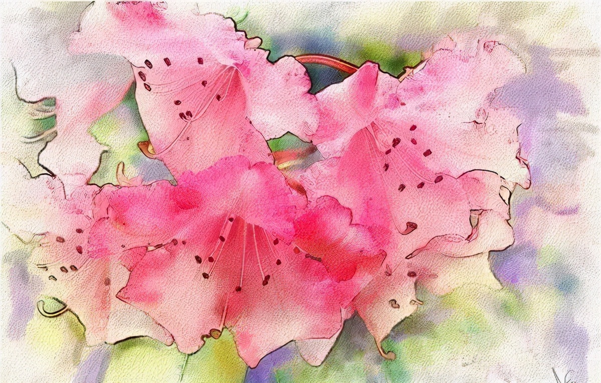 水彩花卉最厉害的画家,著名的水彩大师作品介绍