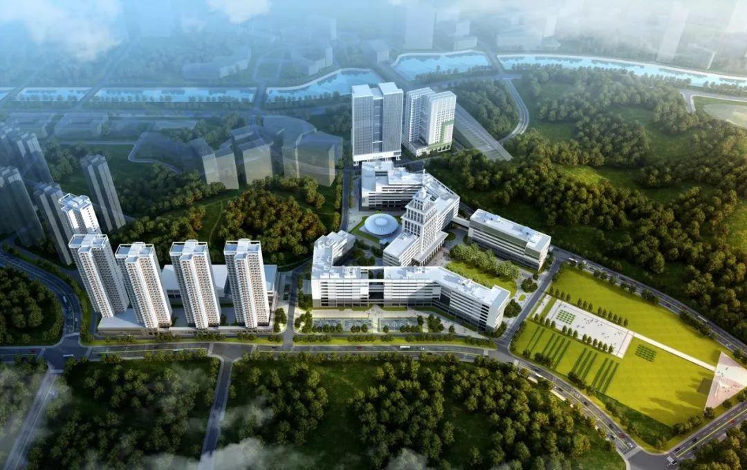 广东筹建9所综合性大学