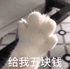 猫咪表情包合集你这是想干嘛呀？