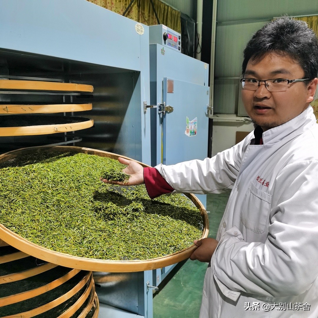 大别山采茶日记，茶季总结：茶歇犹依依，回首数峰青