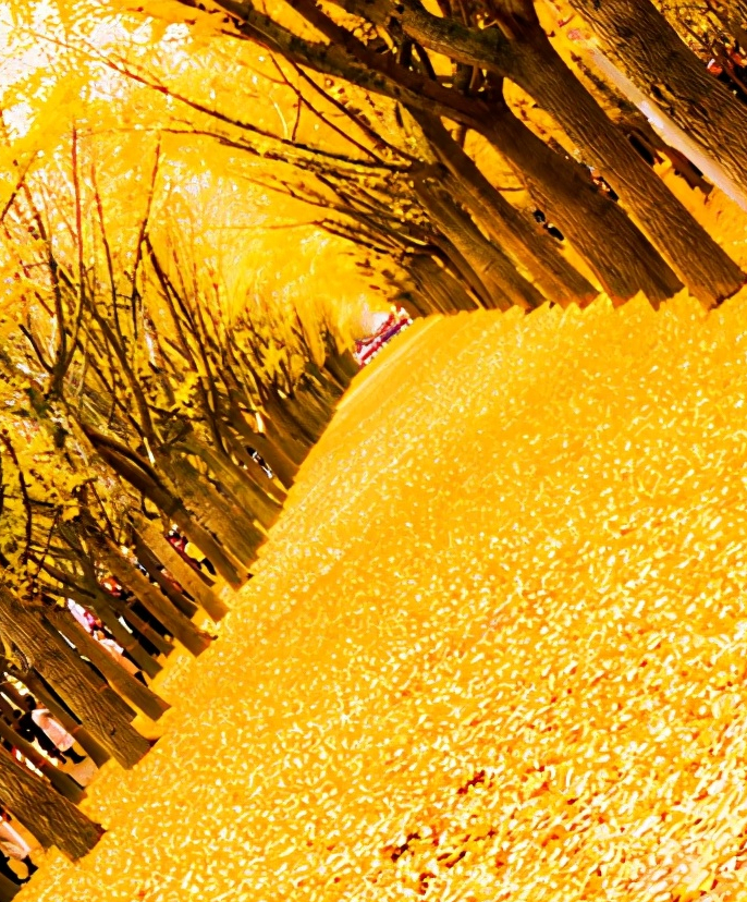 浅谈全国34个省级区域之华东篇：江苏省—徐州市