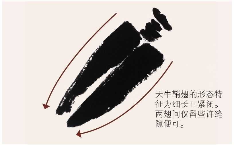 蜻蜓蝴蝶不会画？那是你没有学会这几点，简单易学的国画，快收藏