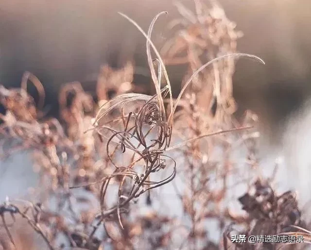 昨天，今天，明天