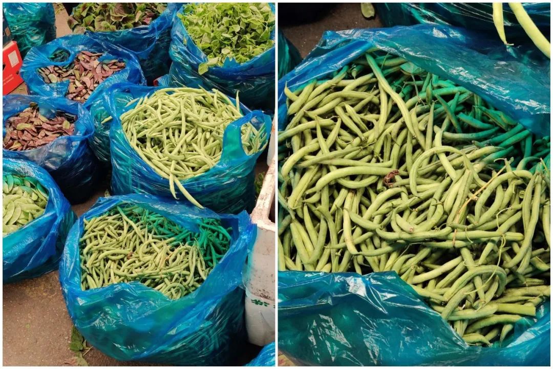 上海江桥：散菜花、莴笋、西葫芦、部分叶菜价格上涨，甜玉米下跌，百合价格亲民