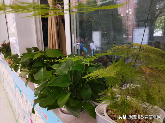 遂宁高级实验学校外国语学校小学部举行“最美教室”评比活动