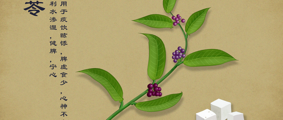 春季常吃“茯苓”好处多！但这3种做法，你尝试过吗？