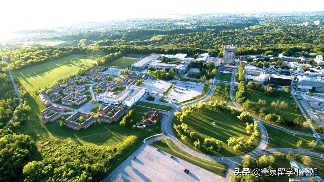 加拿大布鲁克大学免申请费，正在进行中