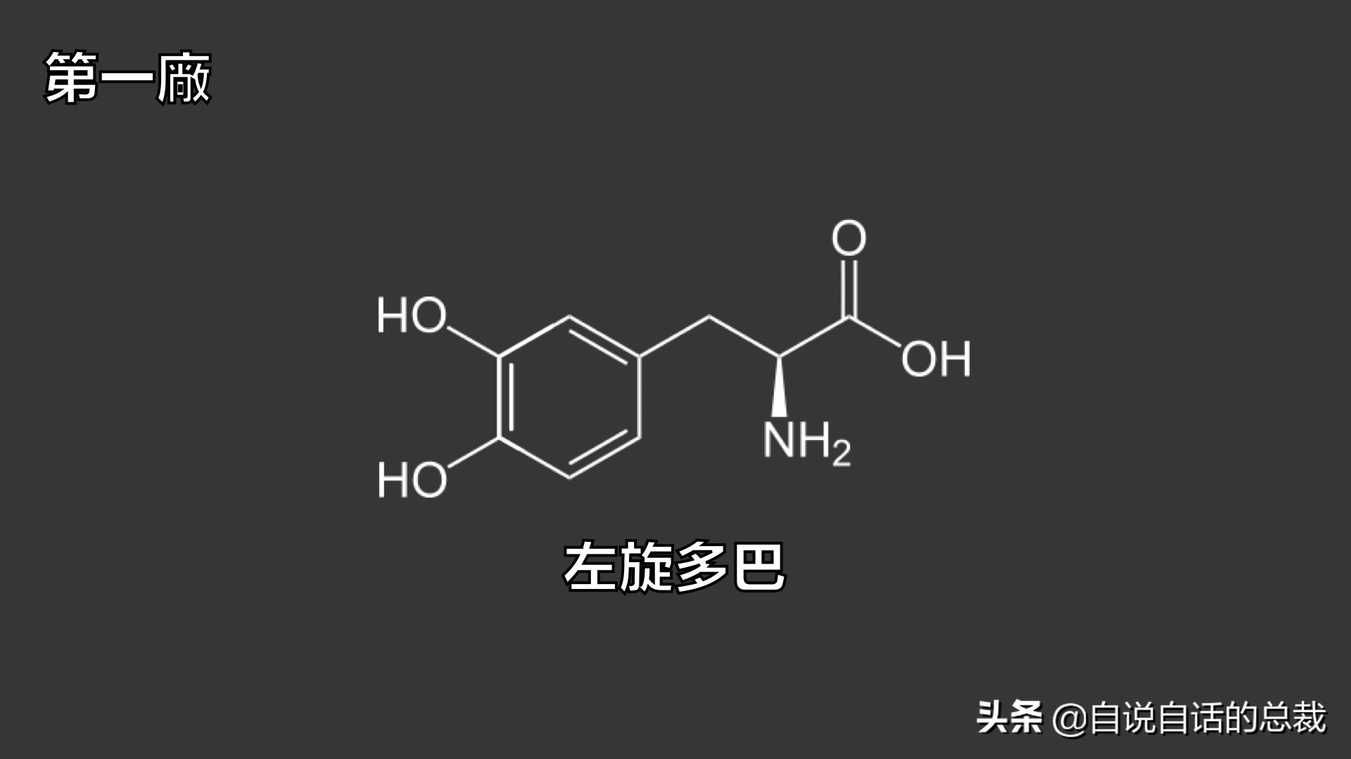 全世界的柠檬都读Lemon？这背后有一个刻在8号染色体上的上古故事