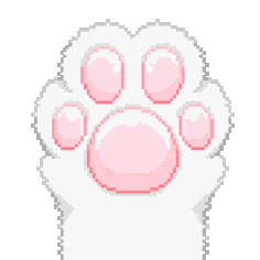 闭幕｜梁旭光代表参加第六次武汉市律师代表大会