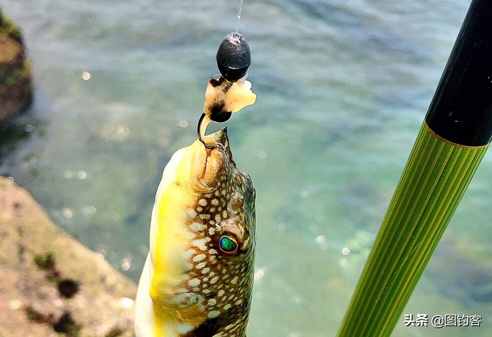 从4种典型钓法谈怎样用好铅坠(钓鱼的铅坠怎么用)
