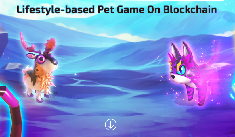 NFT+DeFi系统搭建DeFi宠物战斗游戏DEPT游戏系统开发