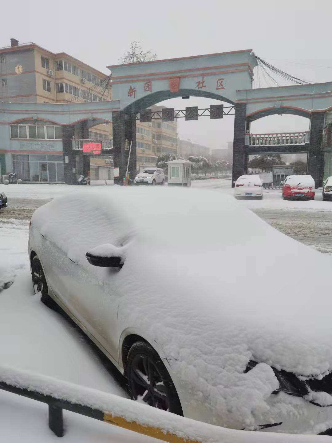 初雪来啦！山东网友纷纷晒出各地雪景，你们那里下雪了吗？