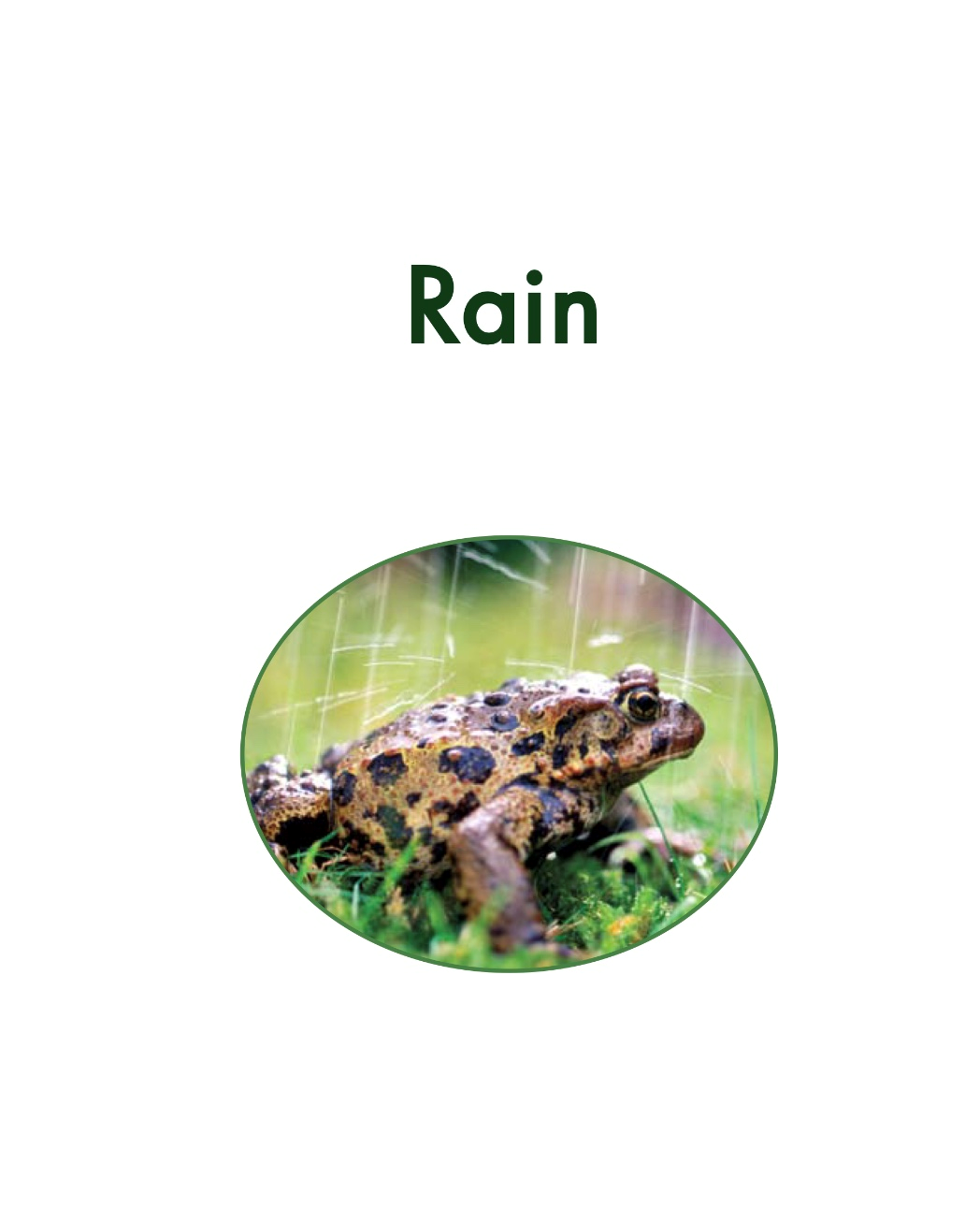 幼儿启蒙有声绘本阅读:《Rain》落汤鸡