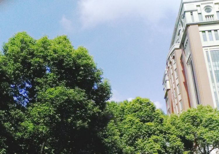 走进上海理工大学