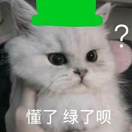 猫猫狗狗斗图表情包｜懂了，绿了呗