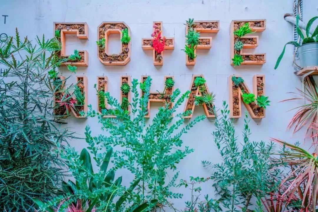 武汉大学的樱花开了！还有这些景点统统免费…