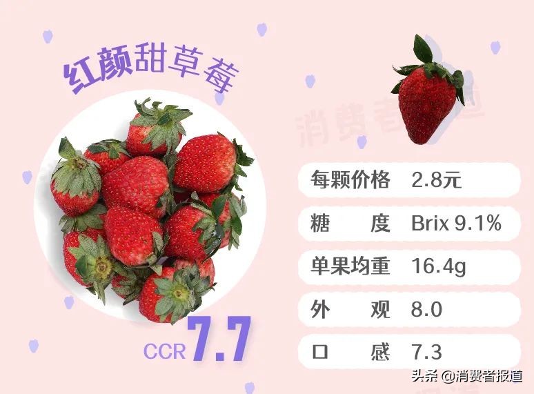 6款高档草莓试吃：5元一颗的“白富美”草莓，颜值和实力哪个更扛打？