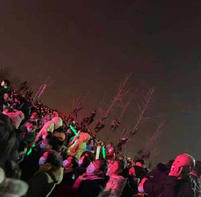 观众为了看潘长江演出爬上树,观众为了看潘长江演出爬上树 2