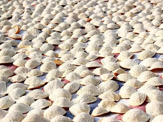 泥巴、果皮都能赚钱？5个不起眼项目背后的1个亿商机