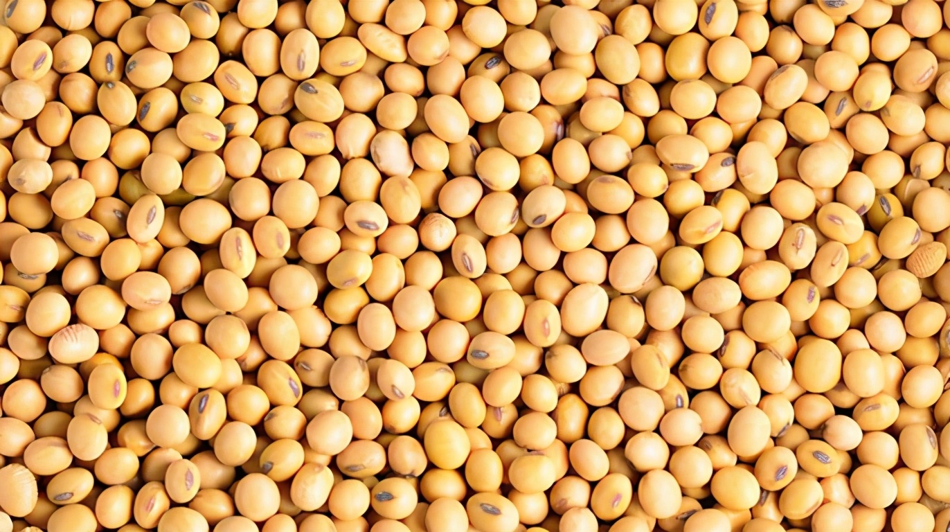 我们每周消耗1公斤的隐藏食物是什么？