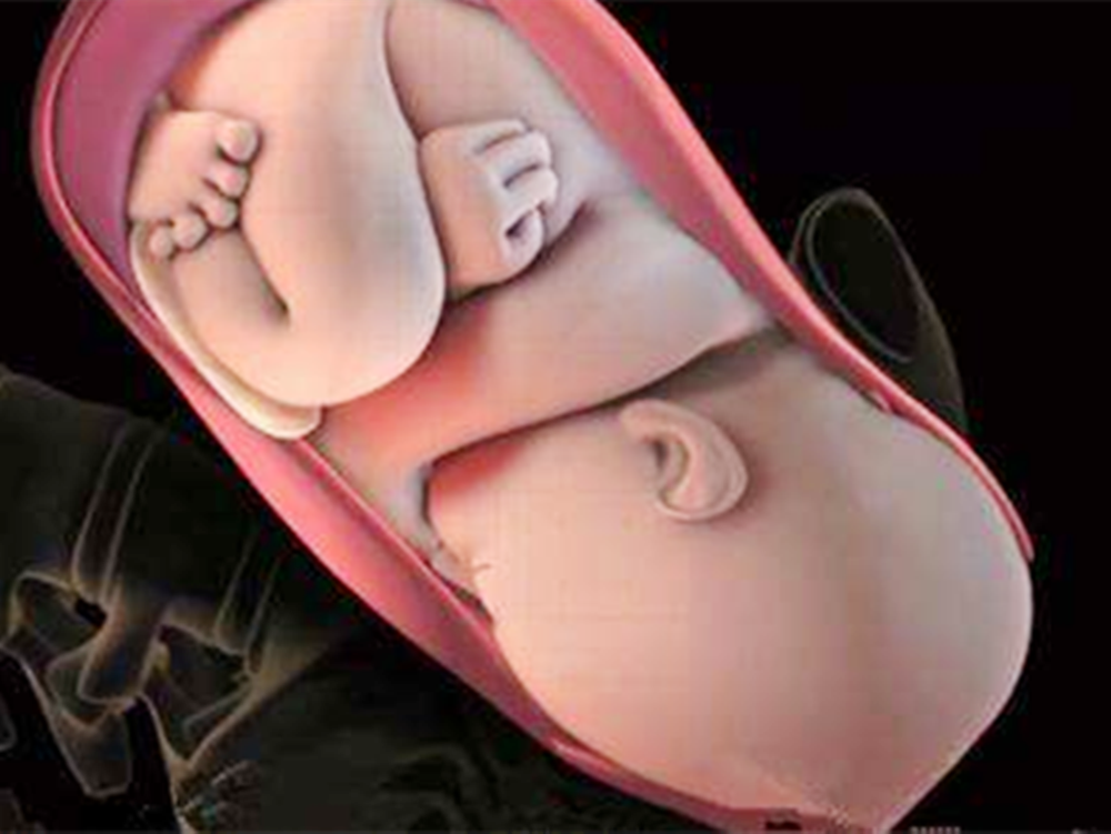 孕33周胎儿入盆图片图片