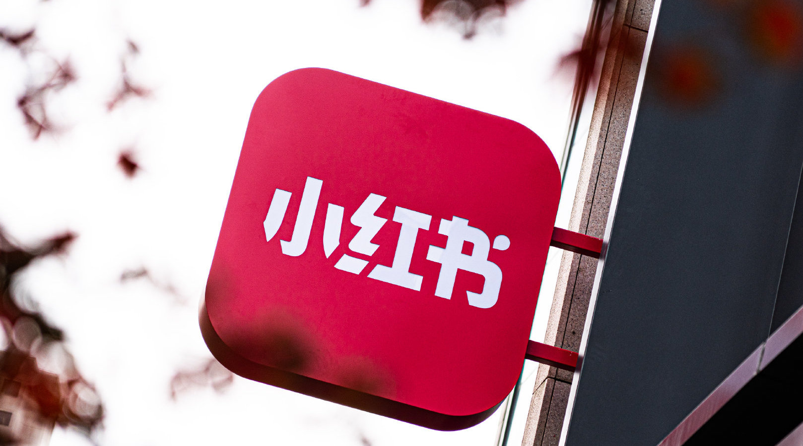 小红书种草很强势，但电商闭环做不大