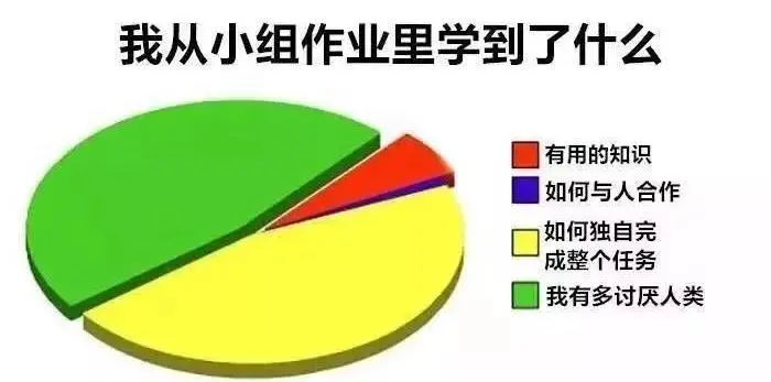 当代大学生的小组作业到底有多难？
