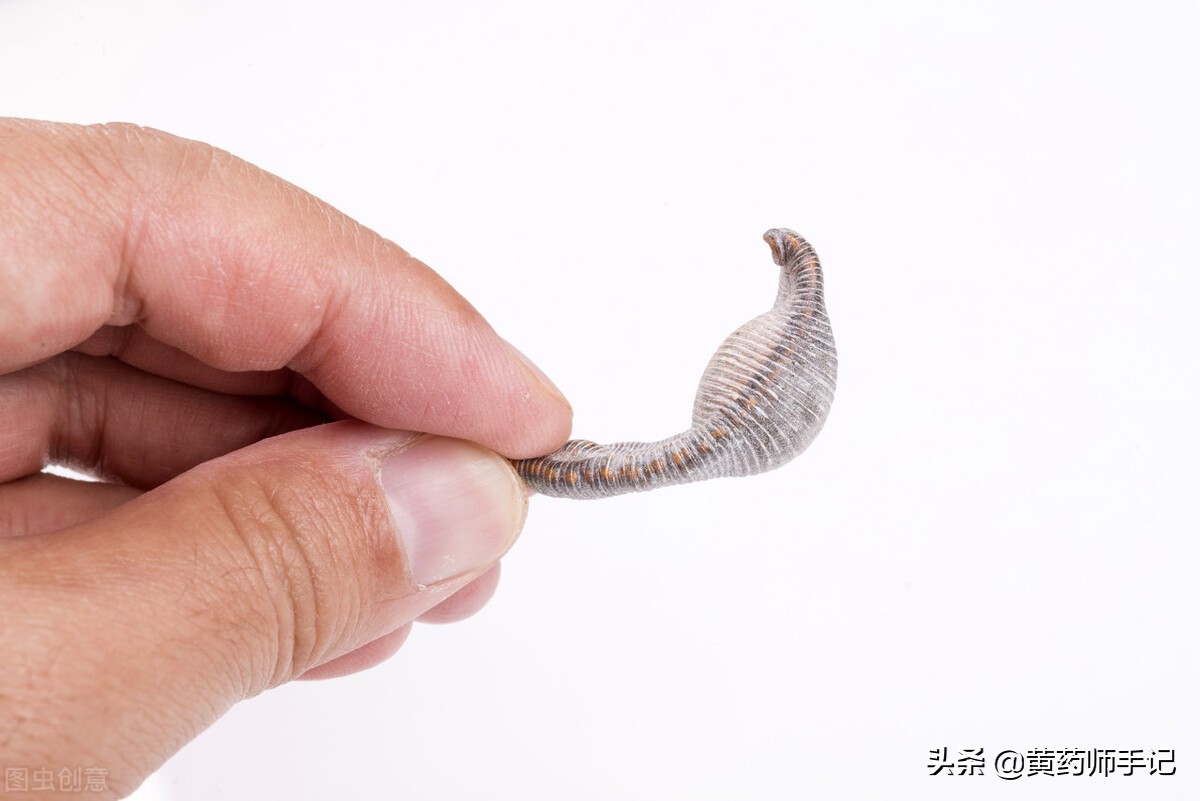 水蛭粉的用法与用量(水蛭粉的功效与作用)